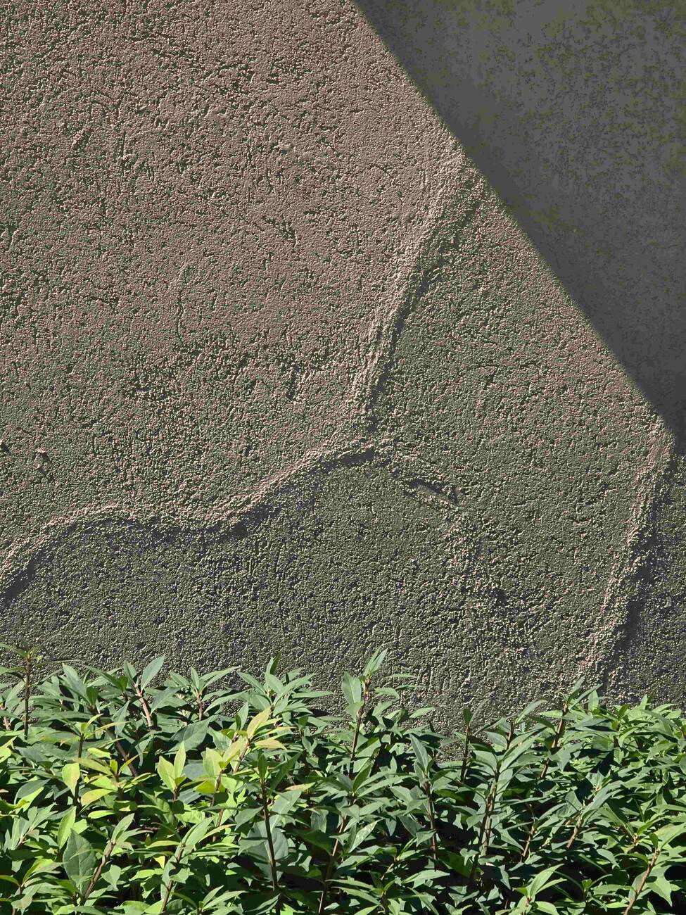 Before painting stucco - visible repair patch and texture mismatch