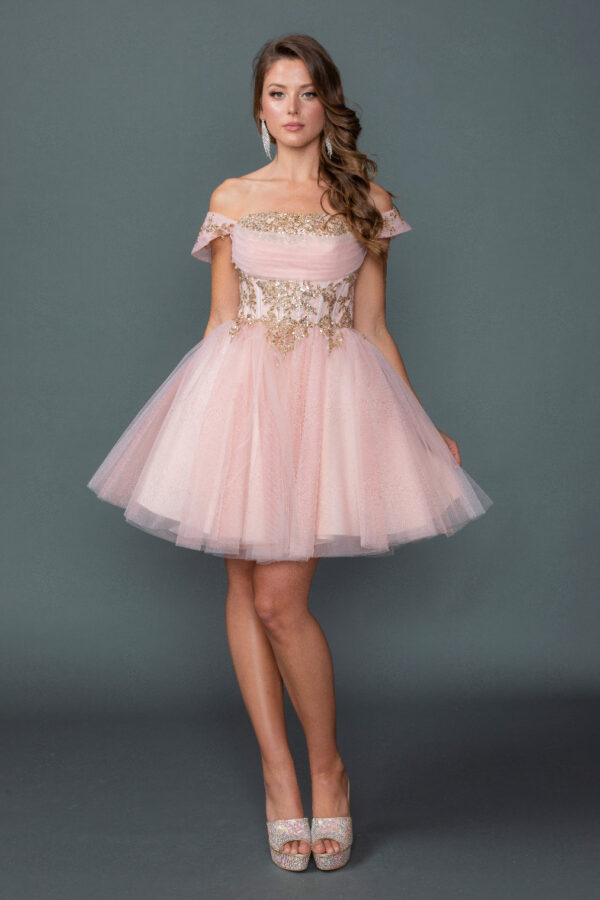 Sweetheart Embroidered Corset Short A-Line Homecoming Dress