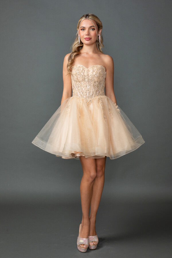 Off-Shoulder Embellished Corset Short A-Line Homecoming Dress