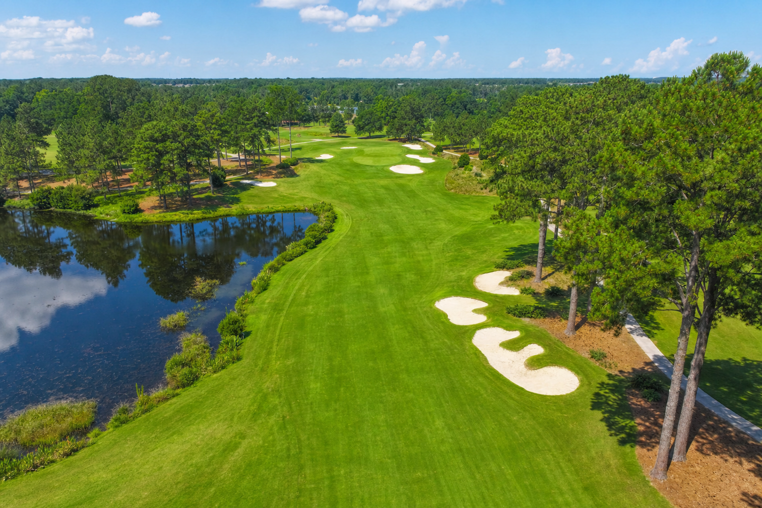 Aerial view of a golf course fairway built from LiDAR elevation data