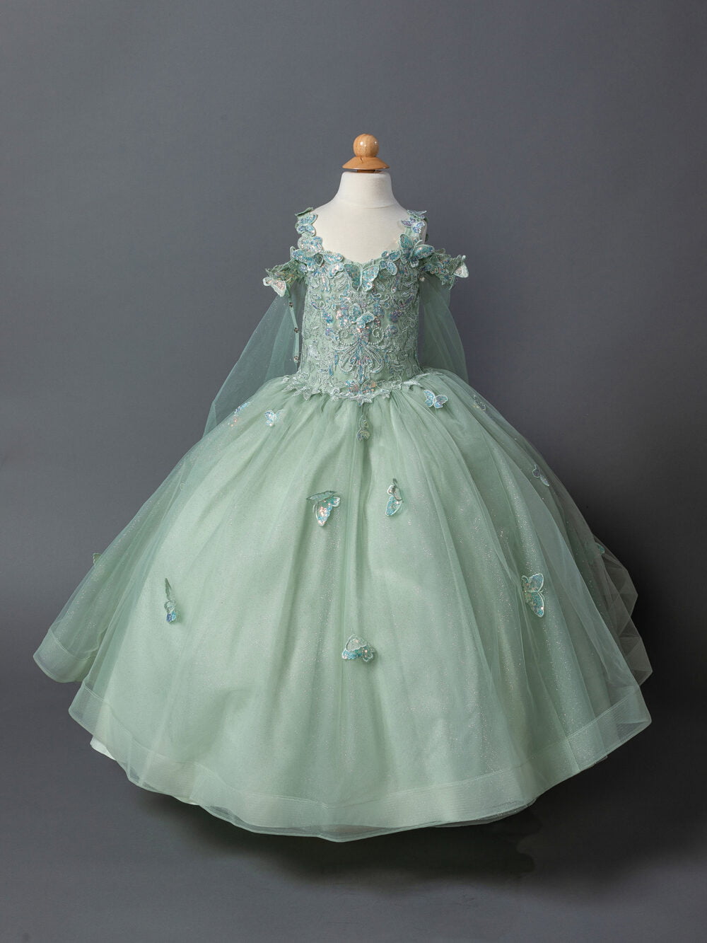 Embroidered Bodice Cap Sleeves Full Tulle Skirt Petite Quince Dress