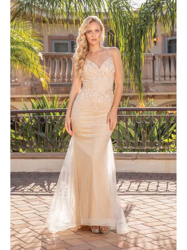 V-Neck Spaghetti Strap Floral Applique Trumpet Prom Dress with Sheer Train