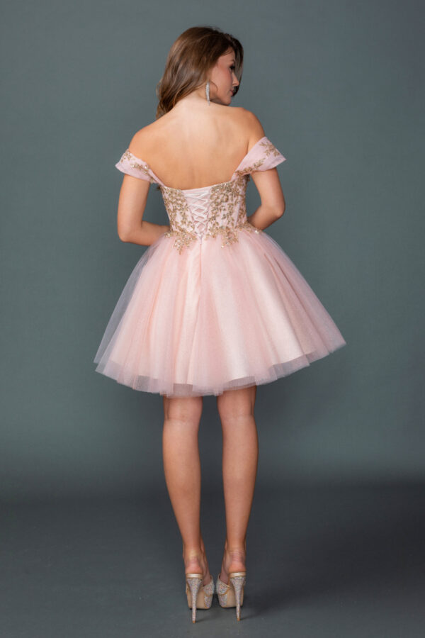 Sweetheart Embroidered Corset Short A-Line Homecoming Dress 2
