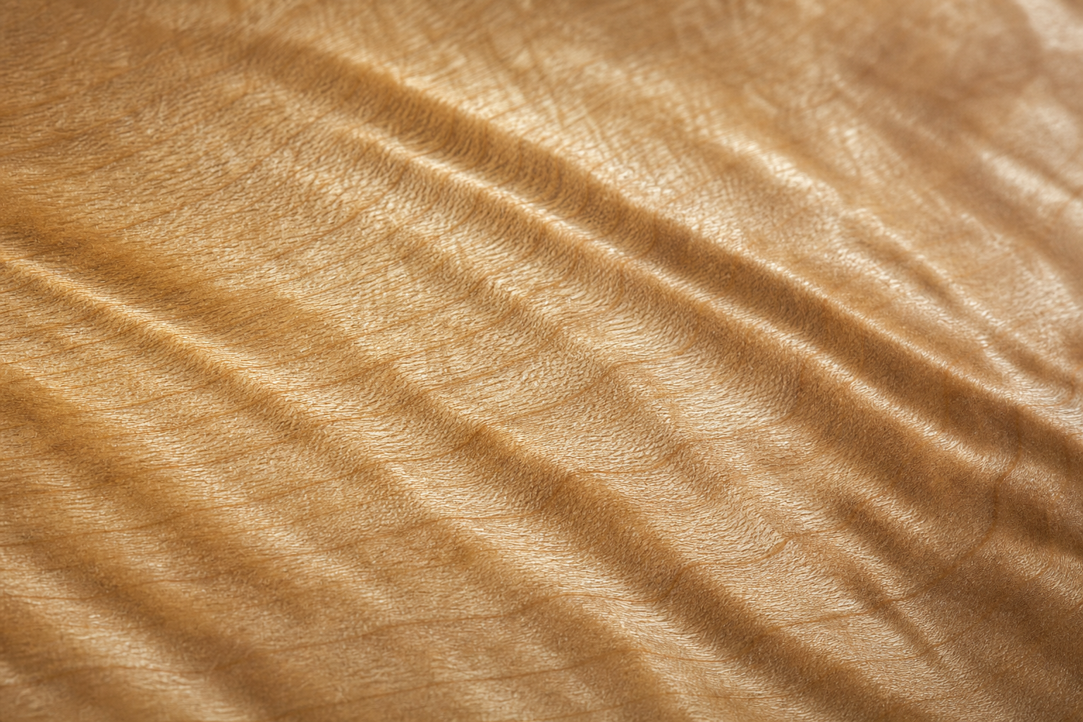 Extreme macro close-up of maple wood grain texture