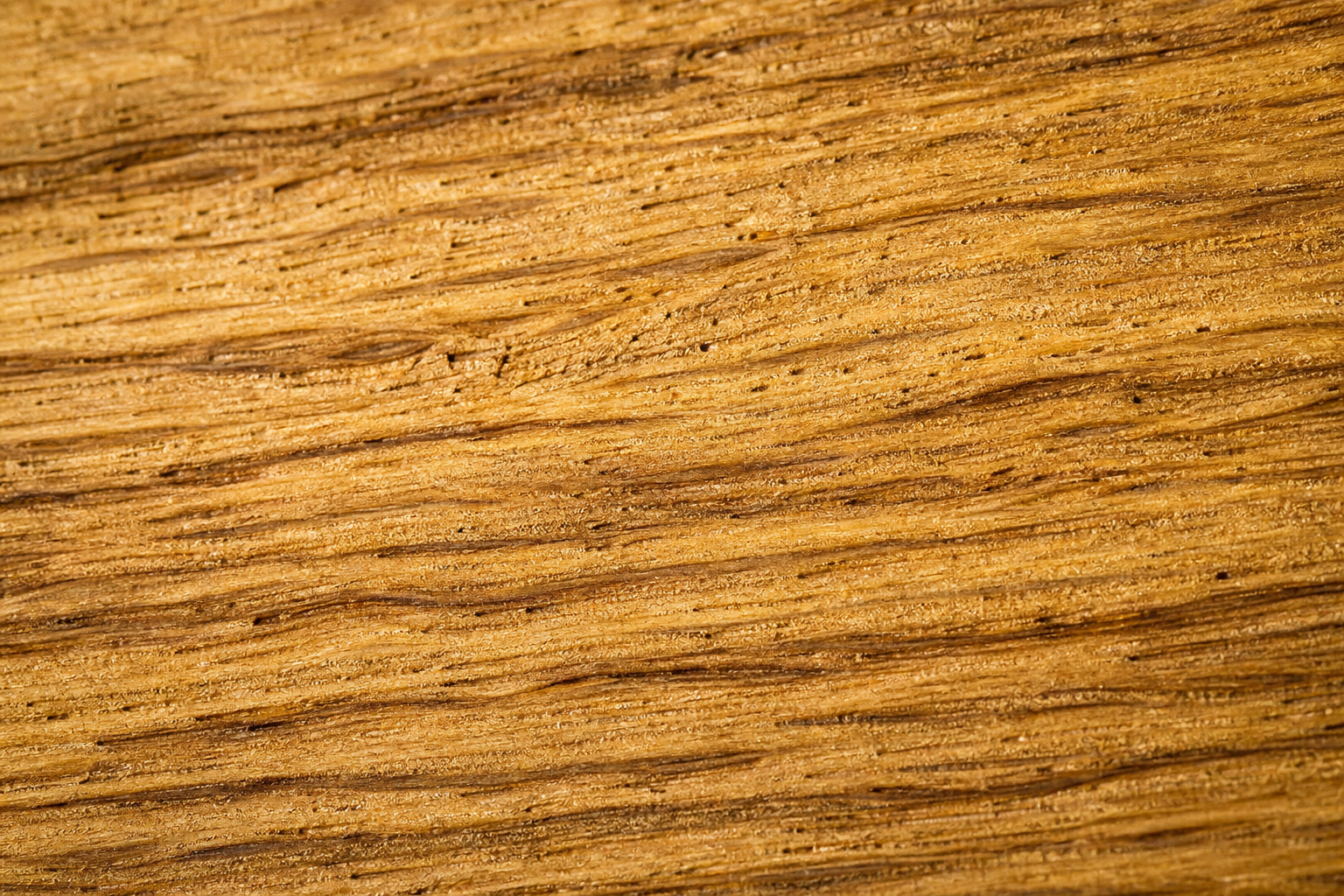 Extreme macro close-up of oak wood grain texture