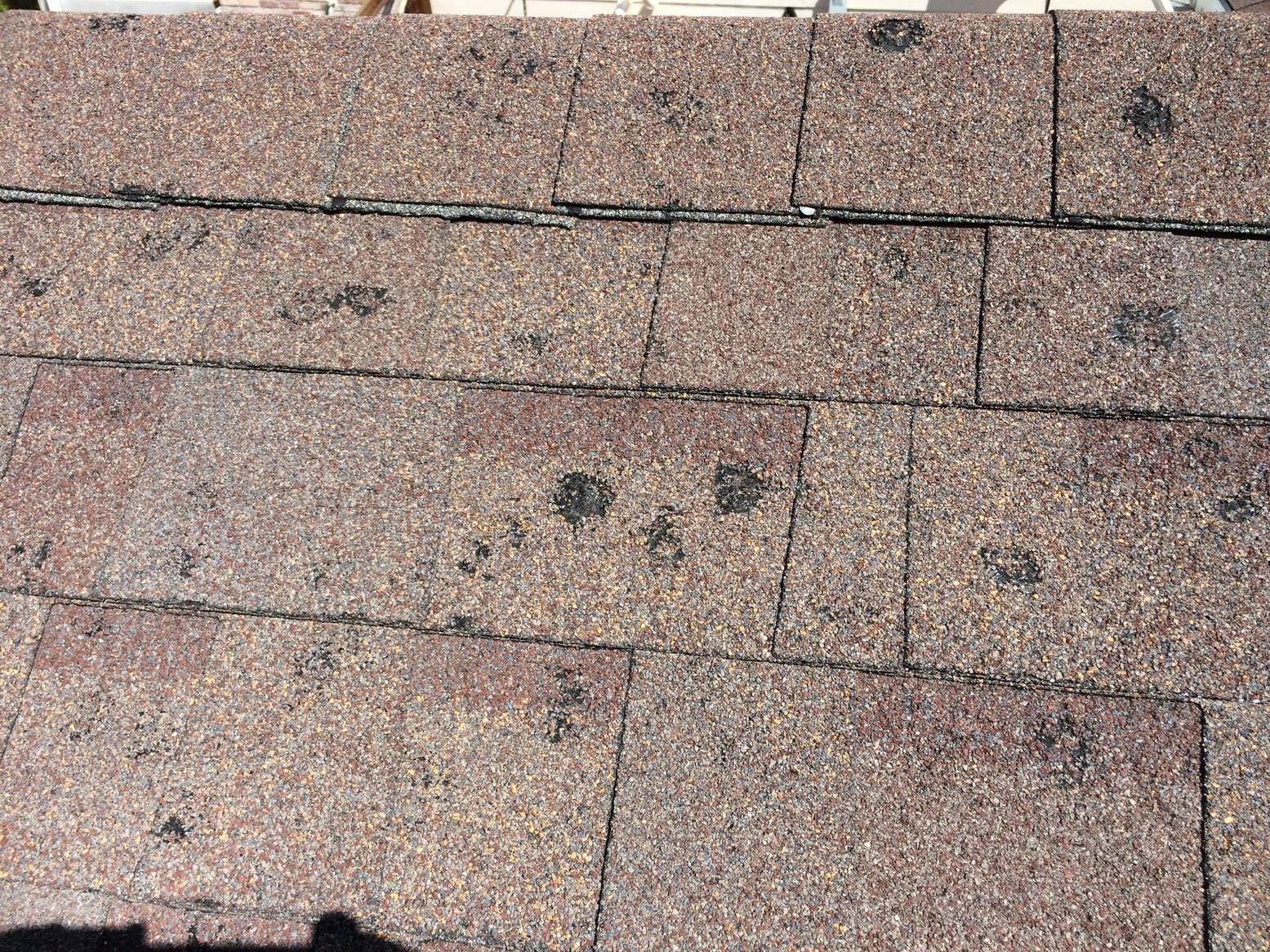 Close-up of hail bruising on architectural shingles