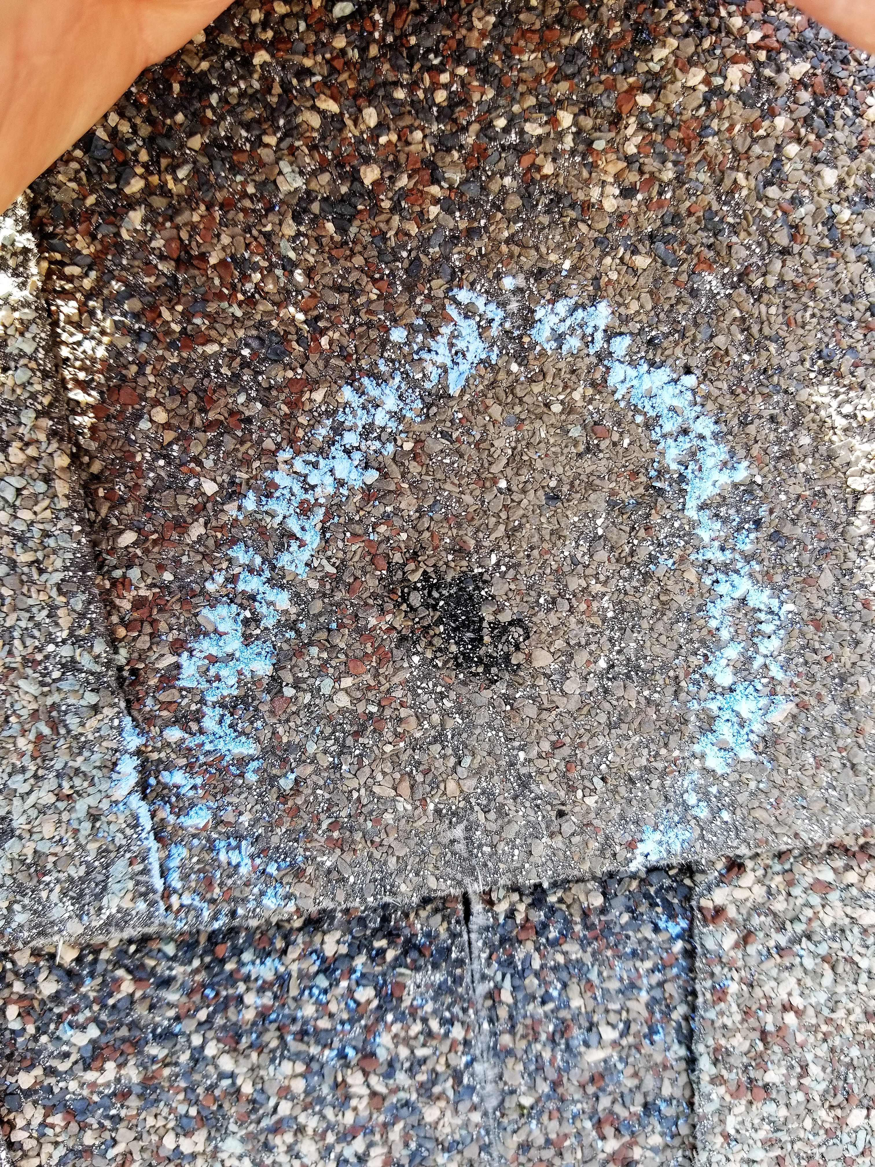 Hail impact circled on granulated shingle during ClaimForge inspection