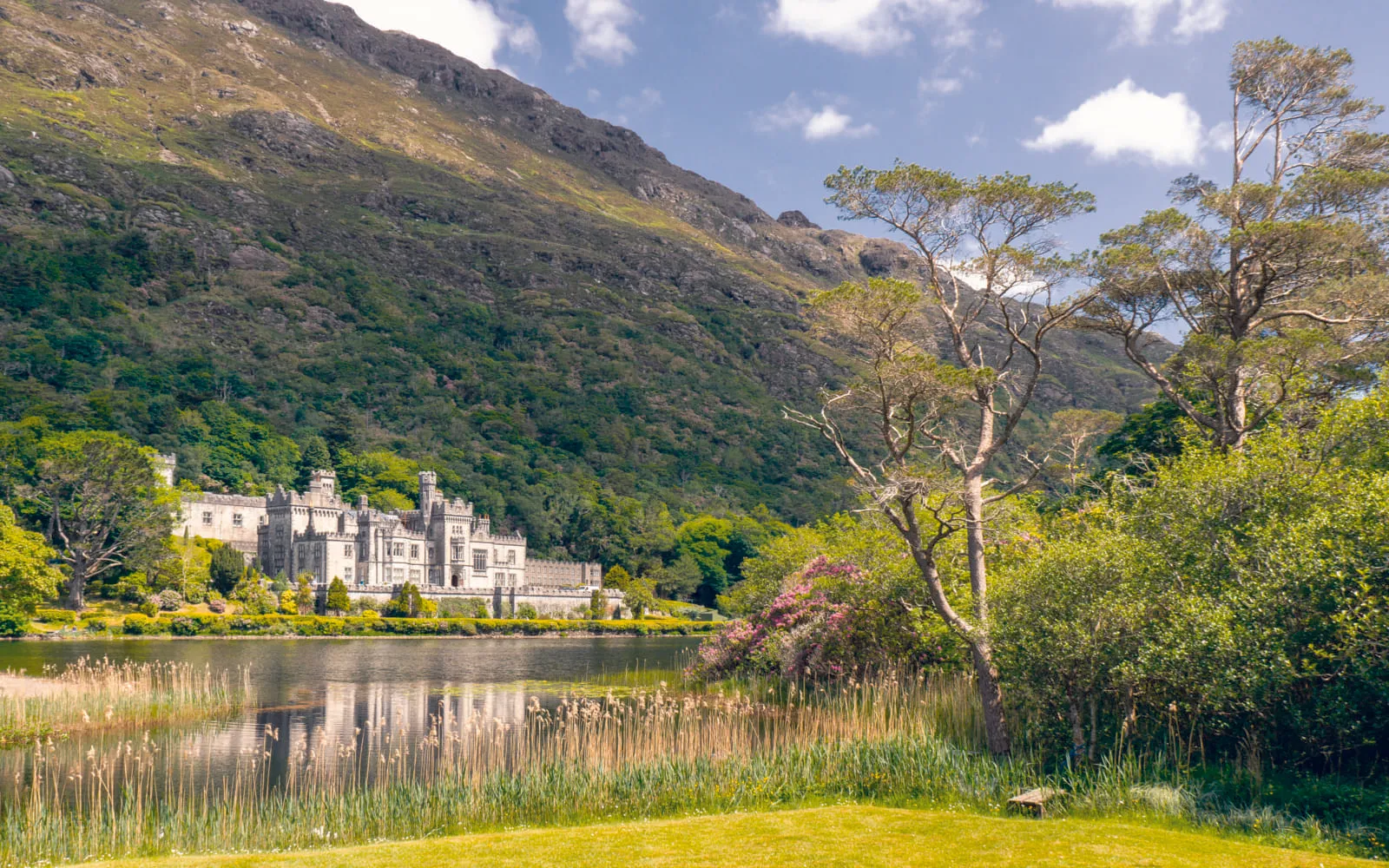 Celtic Castle and Lake — Best Life Apps